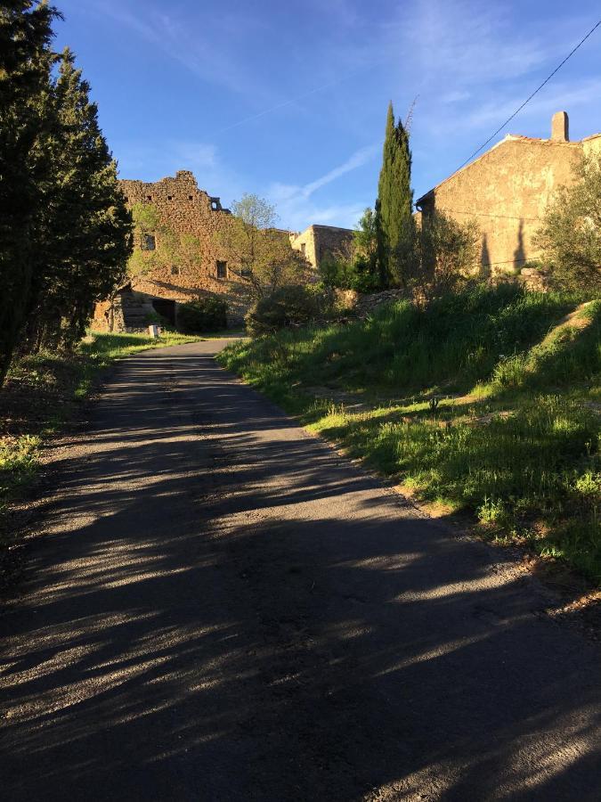 Chambres D Hotes Le Clos Des Vins D Anges Saint-Pierre-des-Champs Екстериор снимка