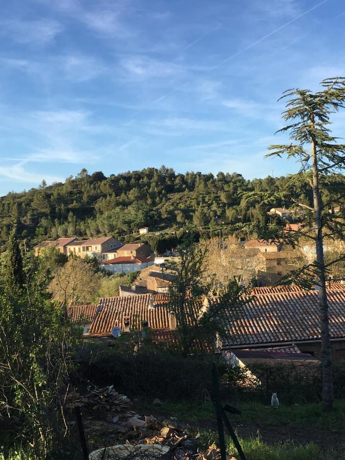 Chambres D Hotes Le Clos Des Vins D Anges Saint-Pierre-des-Champs Екстериор снимка