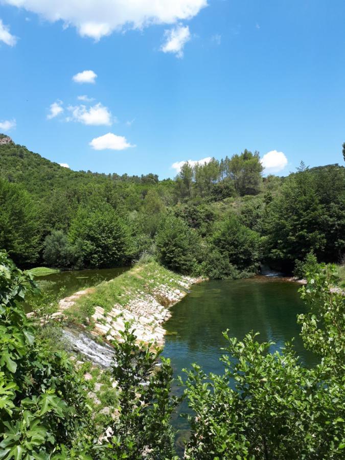 Chambres D Hotes Le Clos Des Vins D Anges Saint-Pierre-des-Champs Екстериор снимка