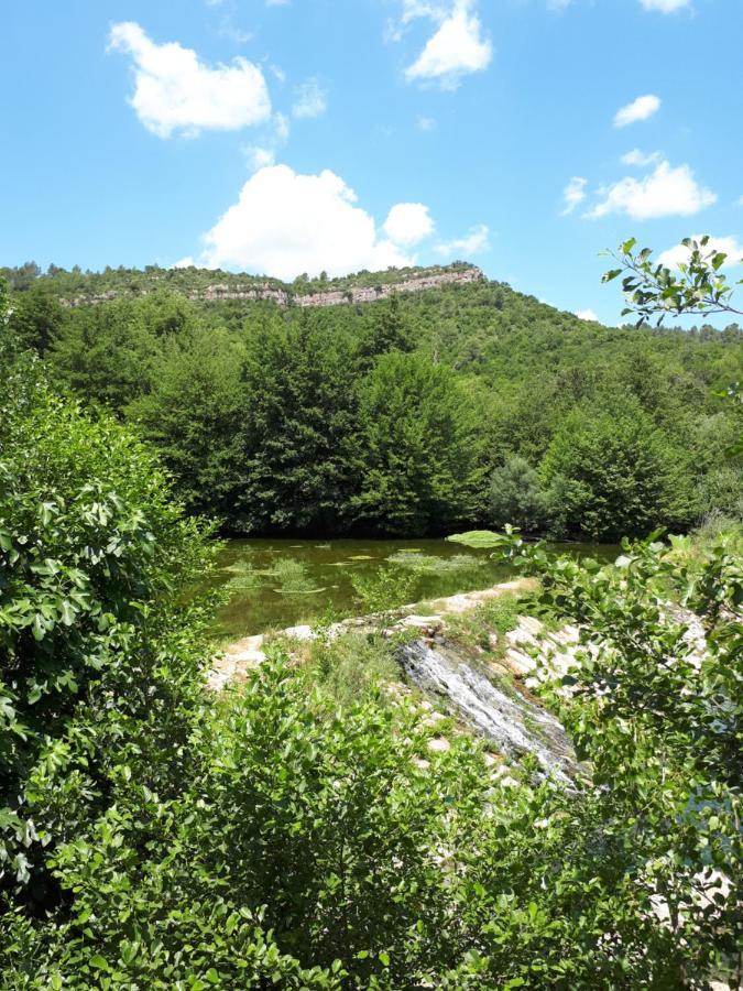 Chambres D Hotes Le Clos Des Vins D Anges Saint-Pierre-des-Champs Екстериор снимка