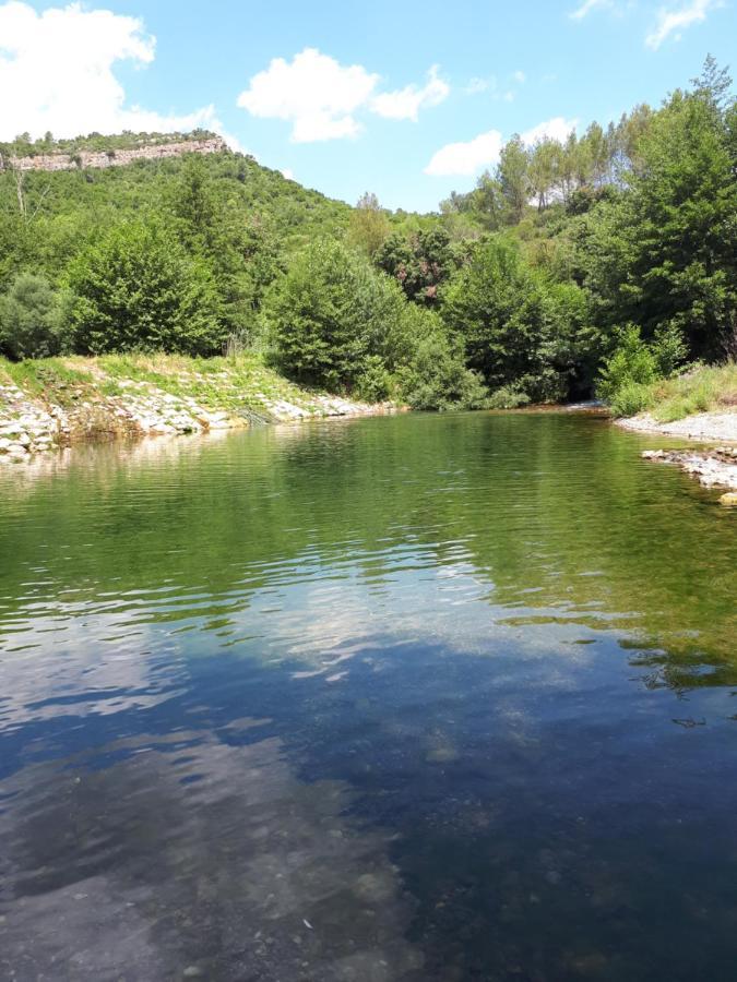Chambres D Hotes Le Clos Des Vins D Anges Saint-Pierre-des-Champs Екстериор снимка