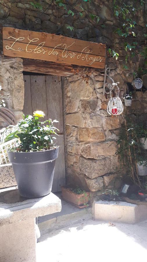 Chambres D Hotes Le Clos Des Vins D Anges Saint-Pierre-des-Champs Екстериор снимка