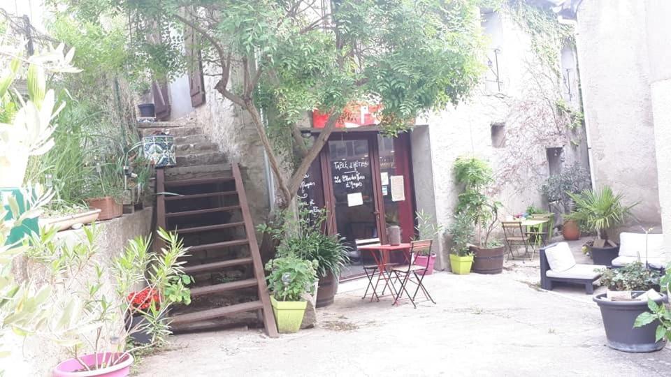 Chambres D Hotes Le Clos Des Vins D Anges Saint-Pierre-des-Champs Екстериор снимка