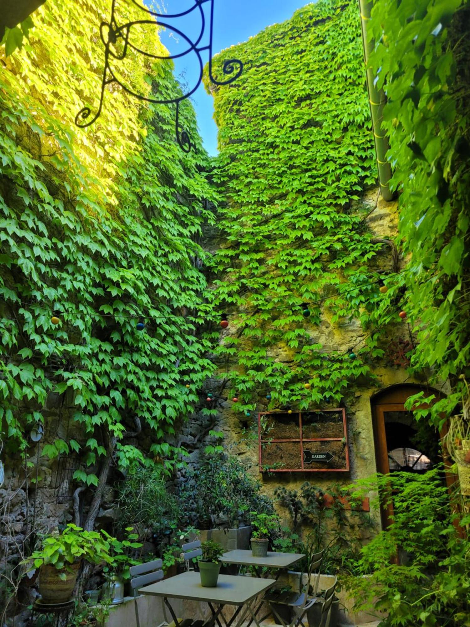 Chambres D Hotes Le Clos Des Vins D Anges Saint-Pierre-des-Champs Екстериор снимка